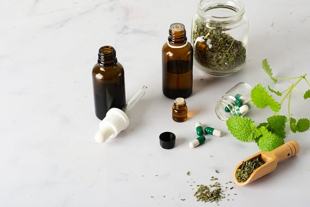 The Ascent of Ayurvedic and Herbal Medicine in India