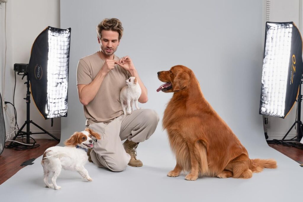 Navigating the Maze of Pet Supplements: A Guide for the Skeptical Dog Owner